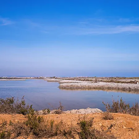 Nata La Mata (Torrevieja)